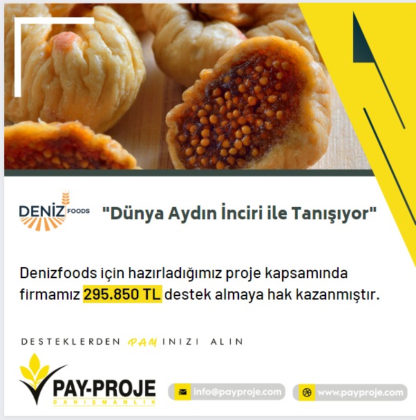dünya aydın inciri ile tanışıyor