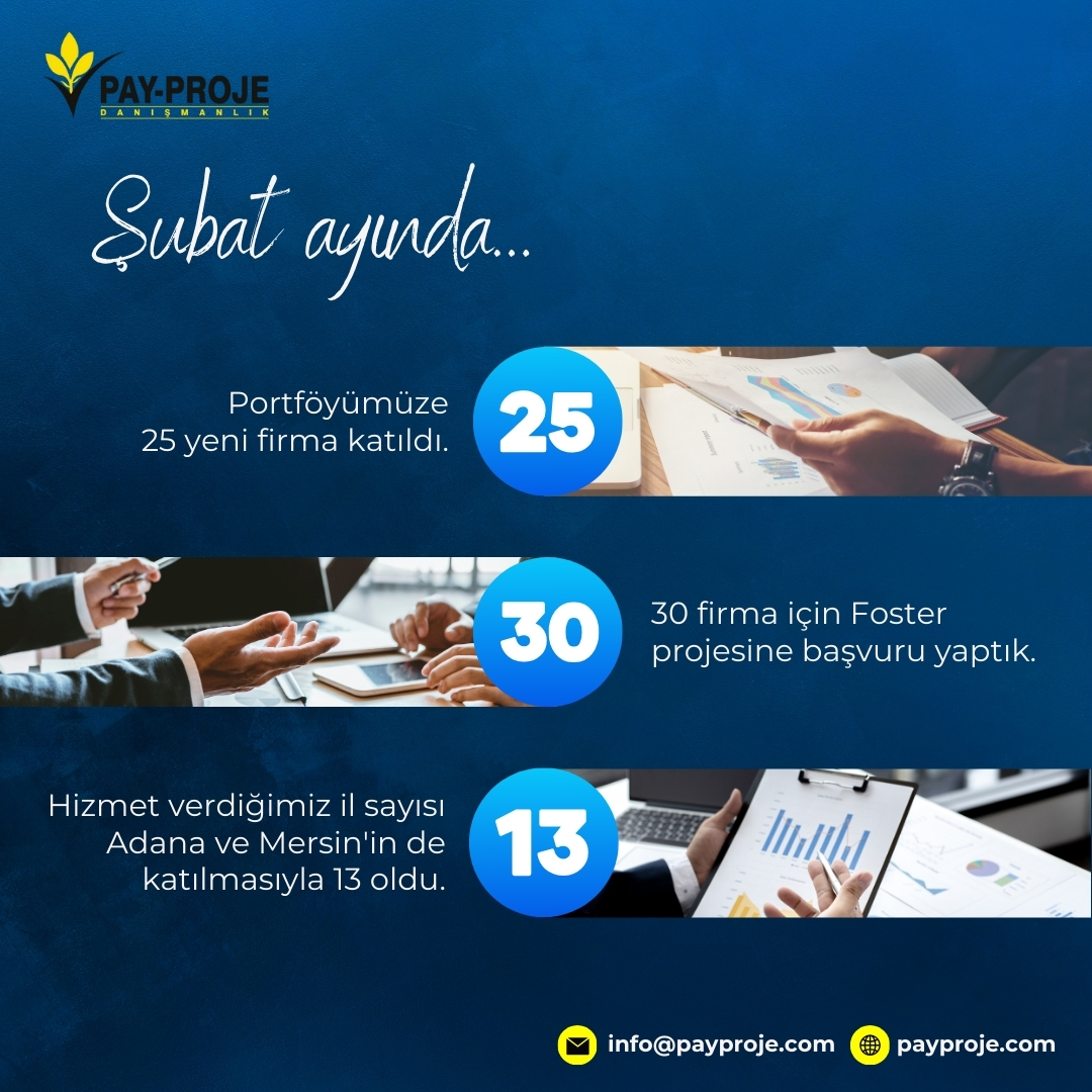 Stargaz iş sanayi ve